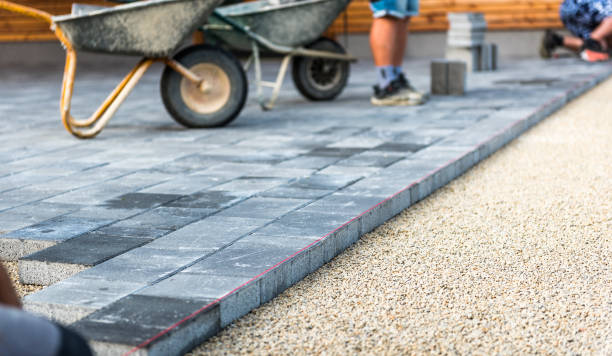 Best Driveway Pavers for Homes  in Carroll, IA