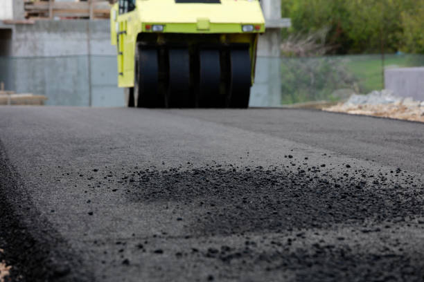 Best Custom Driveway Pavers  in Carroll, IA